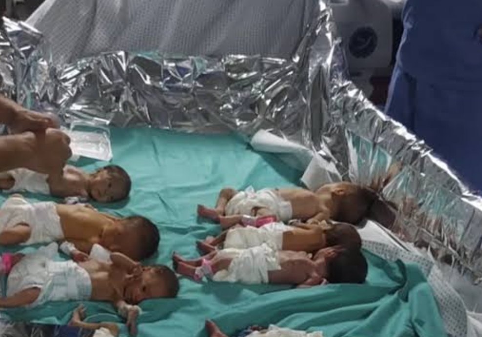 Hampir 20.000 Bayi Lahir Ditengah Buruknya Kondisi Gaza