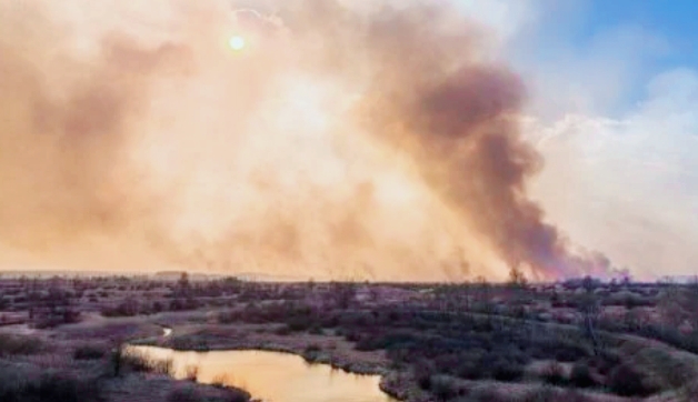 Histori,Texas:Kebakaran Hutan Terbesar , Mematikan Banyak Hewan
