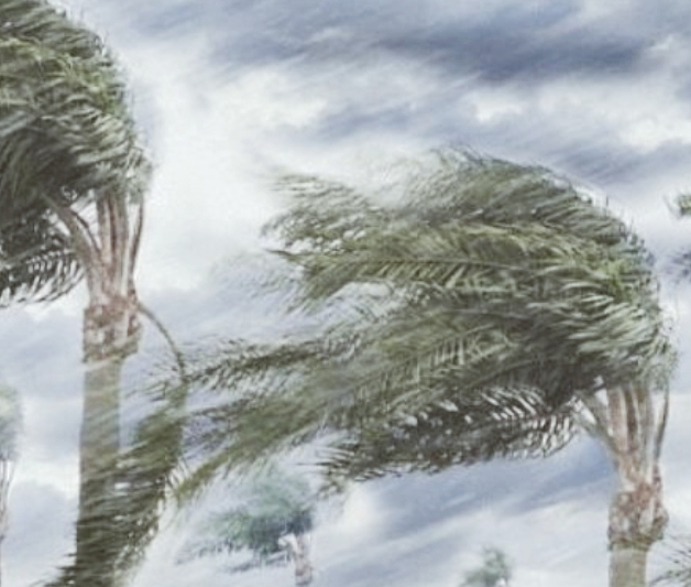 BADAI Angin Kencang:Waspada  Hari Ini,Peringatan Dini BMKG Sabtu, 24 Januari 2026