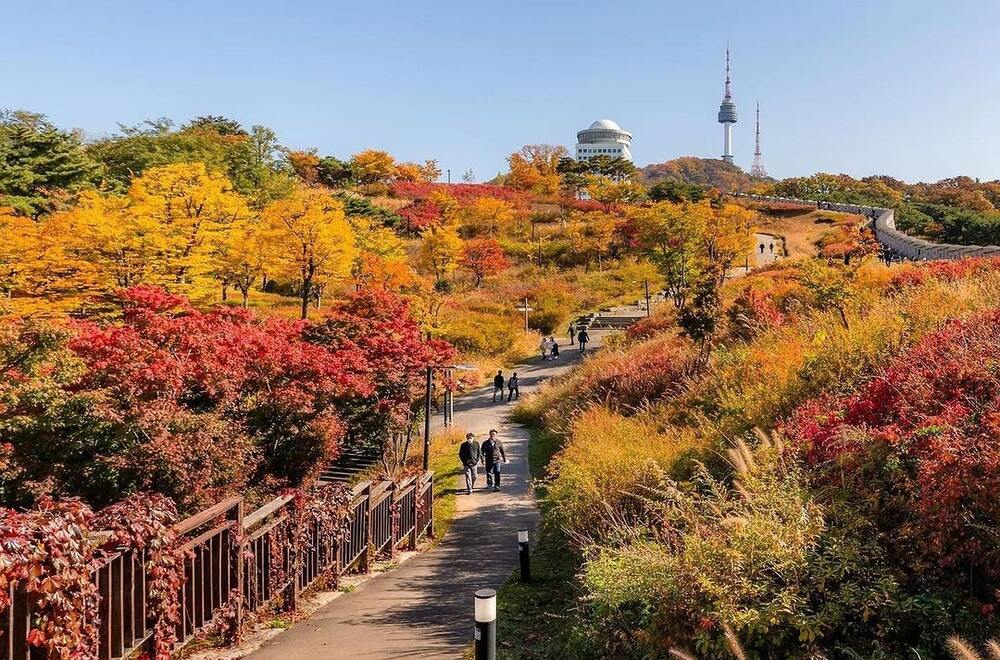 Korea Selatan Kini Krisis Penurunan Populasi