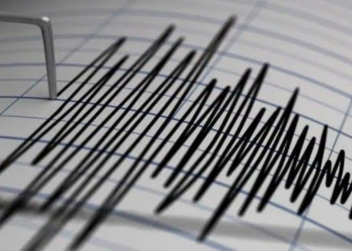 Gempa Berkekuatan 4,6 magnitudo Terjadi Di Mamberamo Tengah Papua