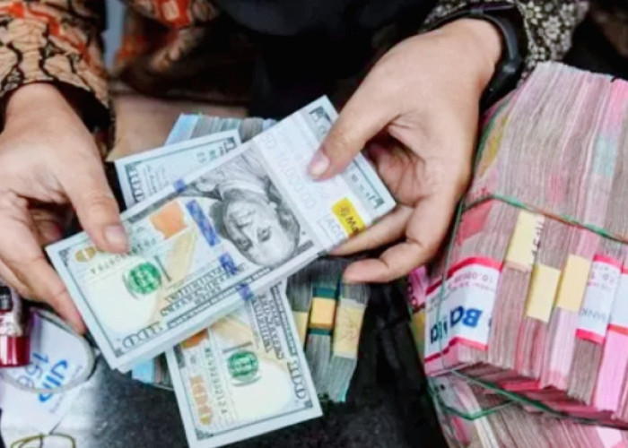 Fluktuatif :Prediksi Nilai Tukar Rupiah terhadap Dolar AS Pekan Depan