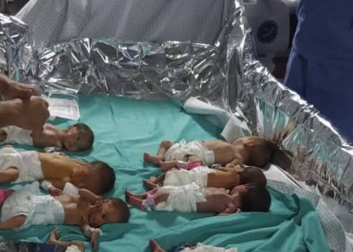 Hampir 20.000 Bayi Lahir Ditengah Buruknya Kondisi Gaza