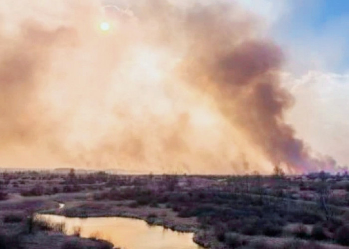 Histori,Texas:Kebakaran Hutan Terbesar , Mematikan Banyak Hewan