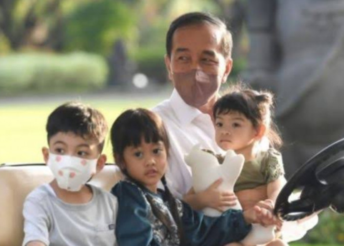 Jokowi Di Hari Pers Nasional 2024:Cucu Saya Komplain Wajah Saya Digambar Aneh