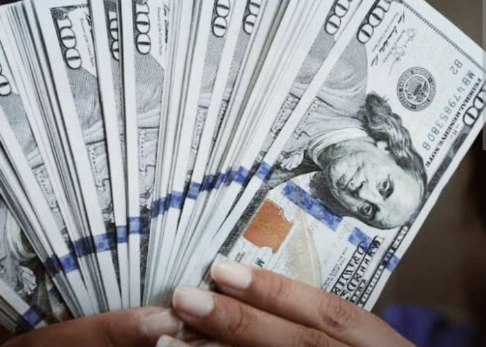 Demam Tinggi:Dolar AS Keok Mata Uang Asia, Rupiah Ambruk 