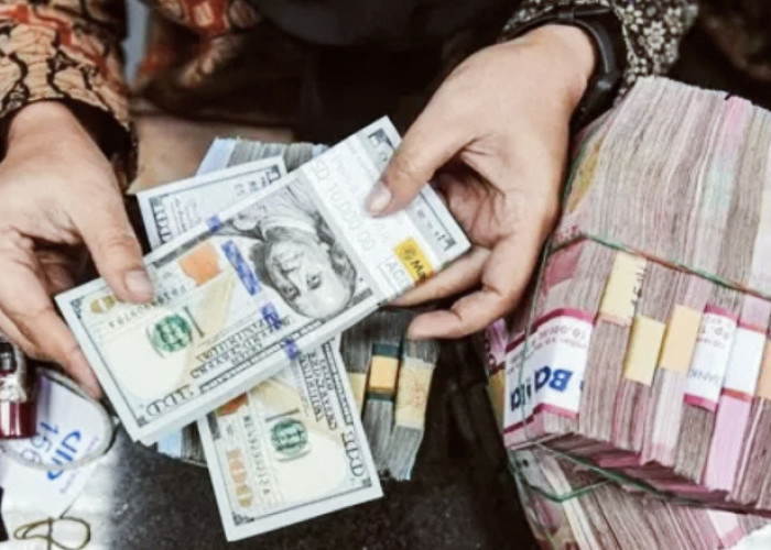 Dengan Kekuatan IMPACT: Di Buka Rupiah