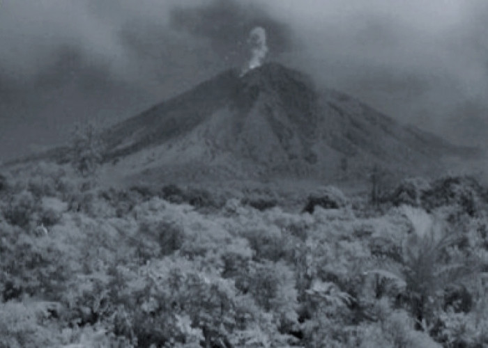 Sabtu Pagi, Muntahkan:Gunung Semeru Erupsi 3 Kali 