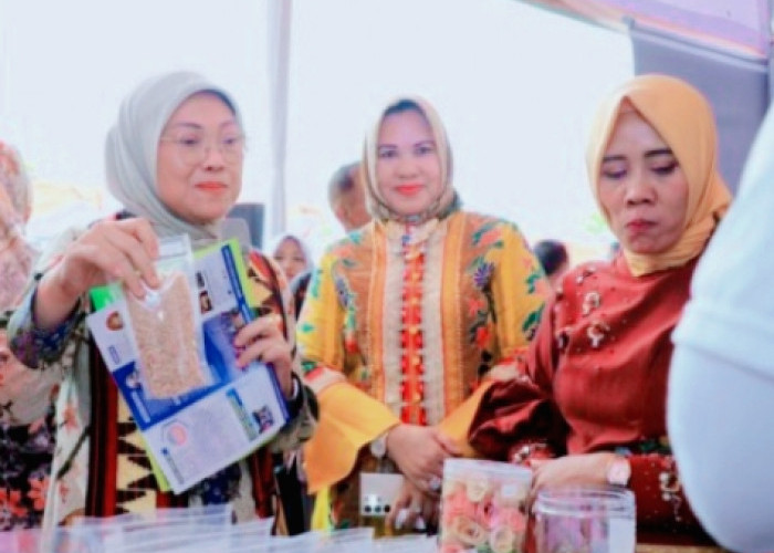 UMKM :Menaker Lapangan Kerja di Republik Indonesia 