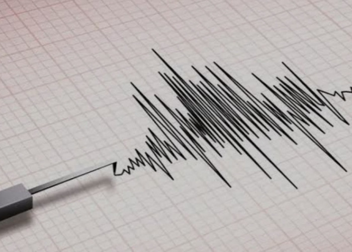 Gempa Berkekuatan 3,9 Magnitudo Yang Terjadi Di Kabupaten Padanglawas Utara