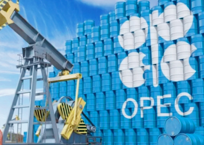 Produksi Minyak:OPEC+ Sepakat Perpanjang Pengurangan 