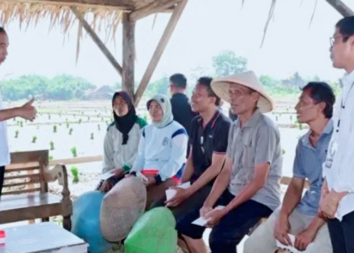 Era Jokowi: Apresiasi Kebijakan Pangan & Pertanian