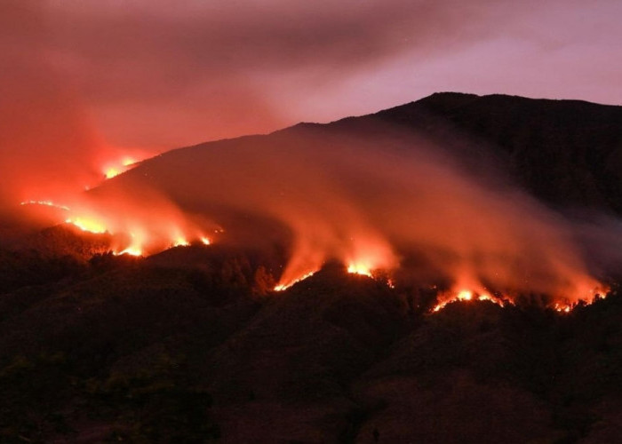 Pelaku Kebakaran Gunung Bromo Kini Di Tuntut 3 Tahun Penjara