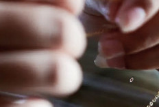 Logam Mulia Harga Emas: Mengintai Rekor Baru