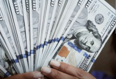 Demam Tinggi:Dolar AS Keok Mata Uang Asia, Rupiah Ambruk 