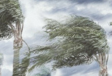 BADAI Angin Kencang:Waspada  Hari Ini,Peringatan Dini BMKG Sabtu, 24 Januari 2026