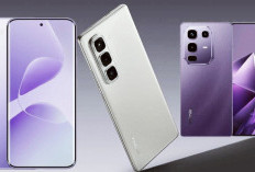 Rebut Tahta Nomor Satu :Raja HP Indonesia  HP China Minggir