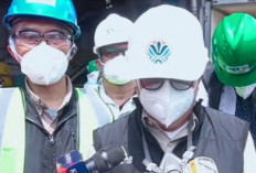 Cikande 5 Ton Udang:Kementerian LH Dimusnahkan  Karena Terpapar Radioaktif